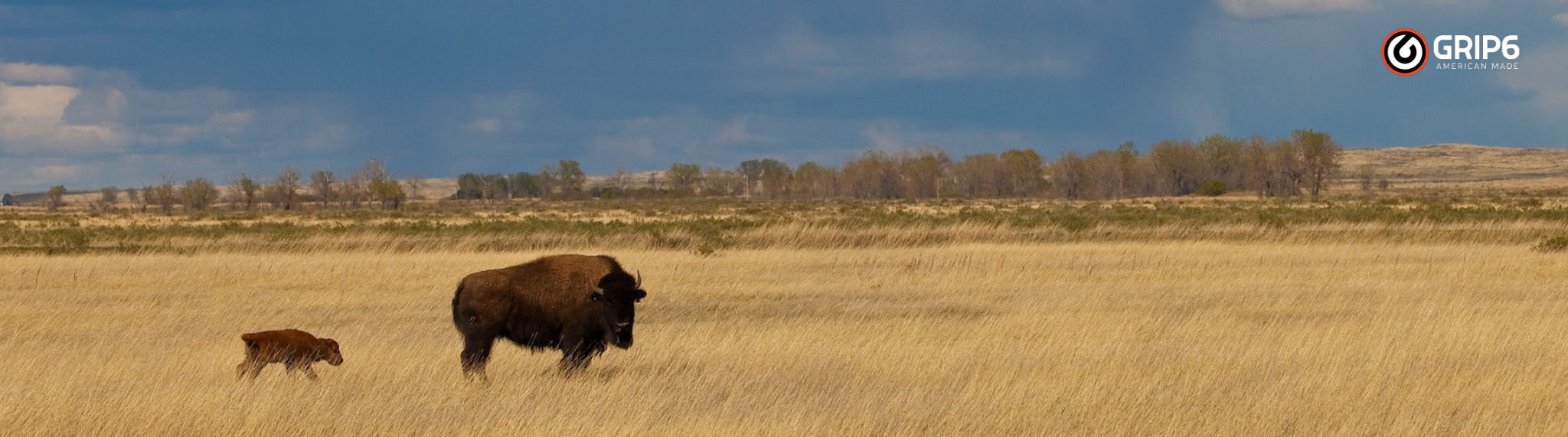 Conservation #1: Seeking the Honest Ones