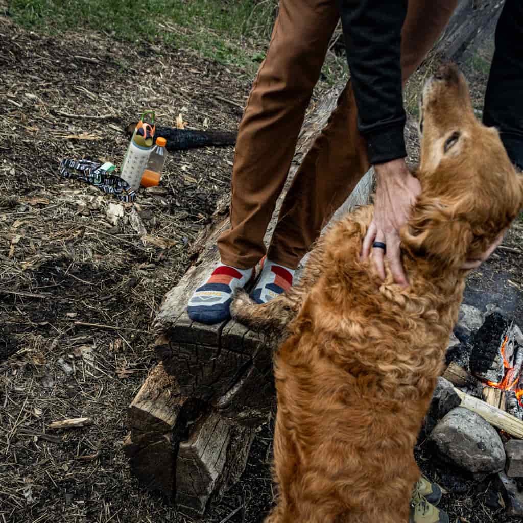 8 Pairs Campfire - Hike Crew Lightweight Merino Wool Sock