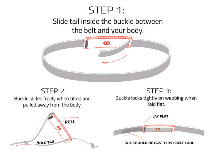 belt infographic