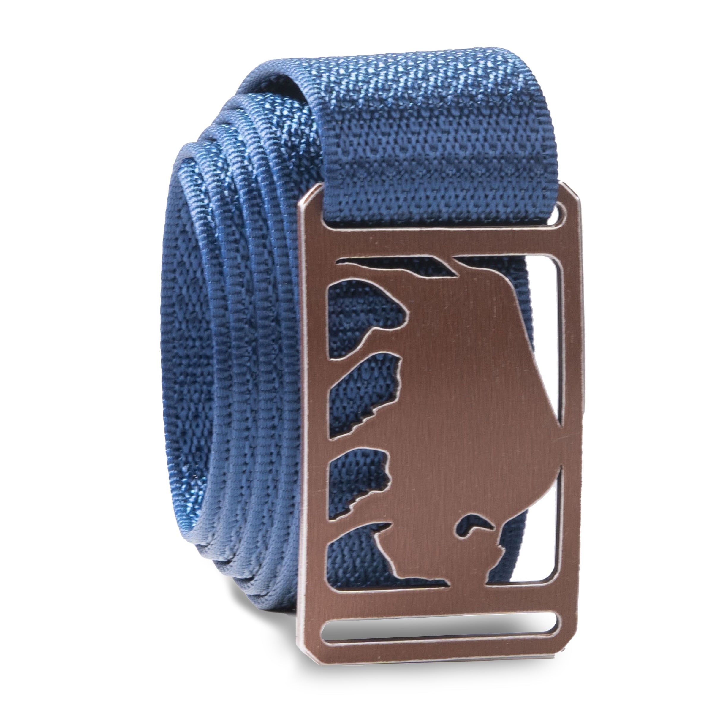 Buffalo belt element strap swatch-image